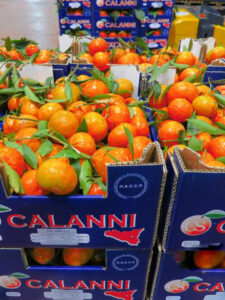 Calanni_Ortofrutta_crl_1