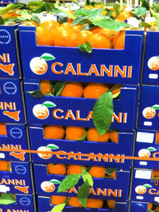 Calanni_Ortofrutta_crl_arance in cassetta