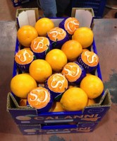 calanni-prodotti arance tarocco cassetta